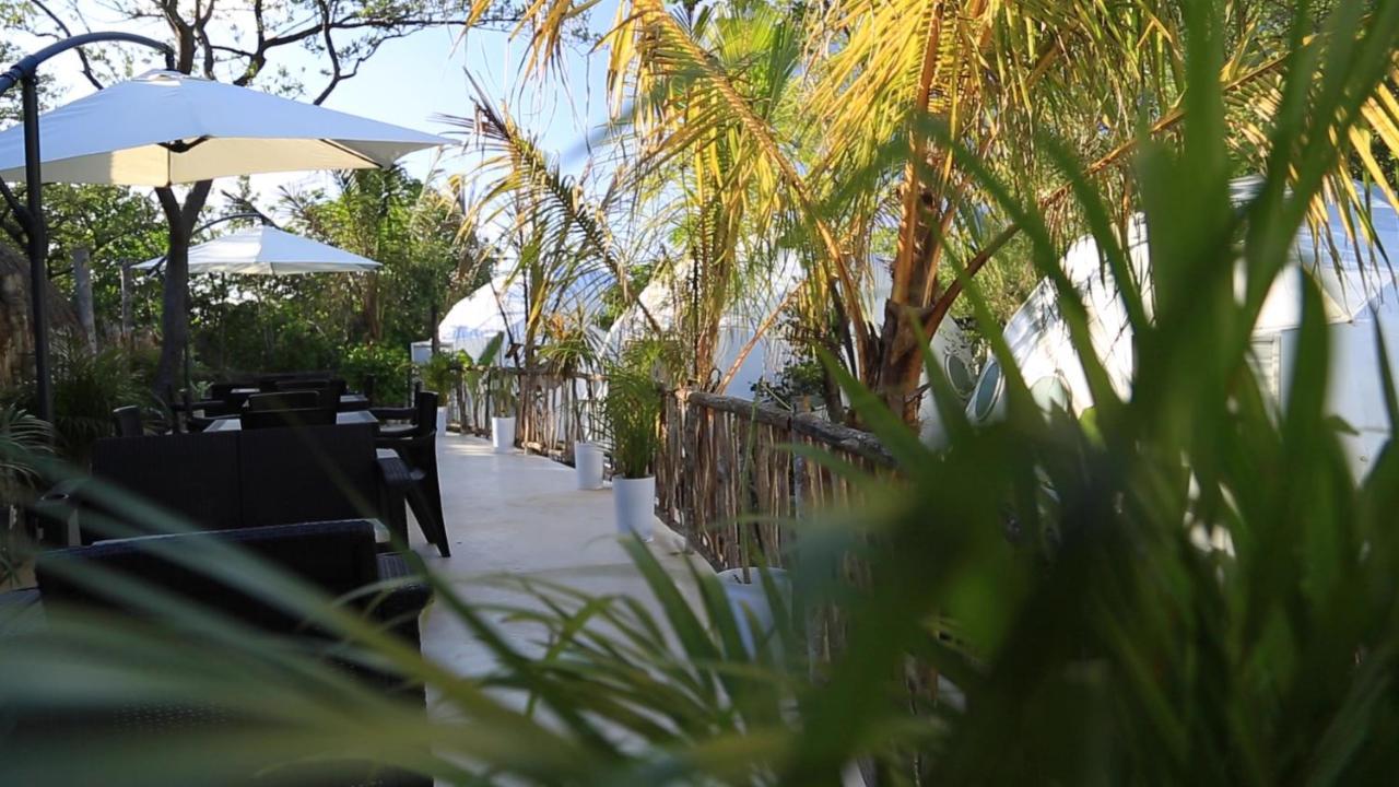 Glamping Tulum With Private Mini Pool Hotel ภายนอก รูปภาพ